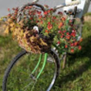 Meet your Posher, Tanya